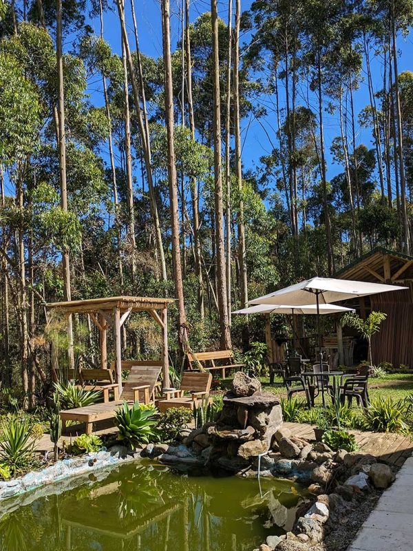 bosque