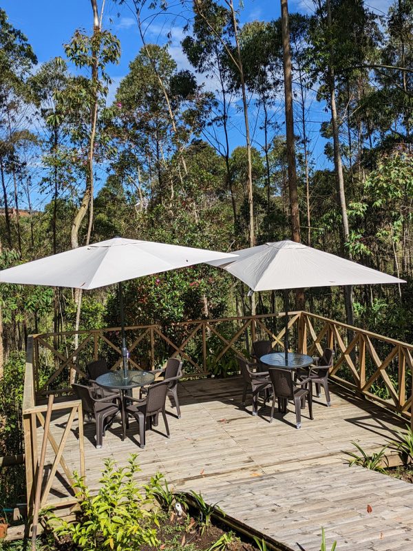 deck